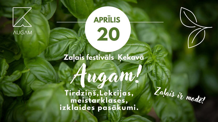 Ilgtspējas vēstniecība ieber.lv piedalās zaļajā festivālā Augam Ķekavā!