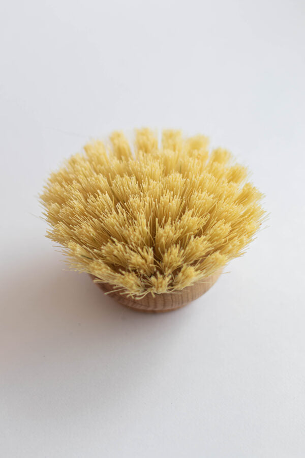 Dish brush replaceable head, hard, Redecker 1pc