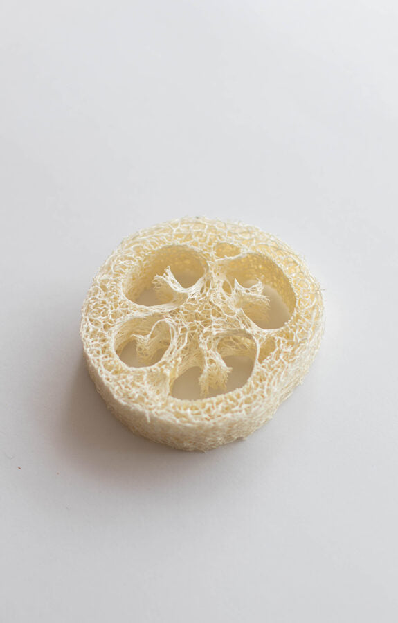 Loofah 1pc