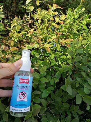 Insect repellent