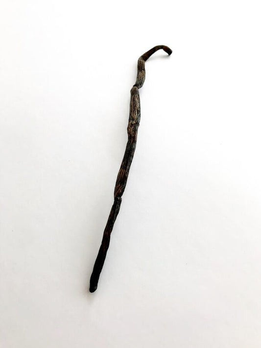 VANIĻAS PĀKSTS BOURBON 1gb