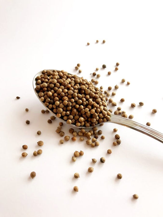 Coriander grains 25g