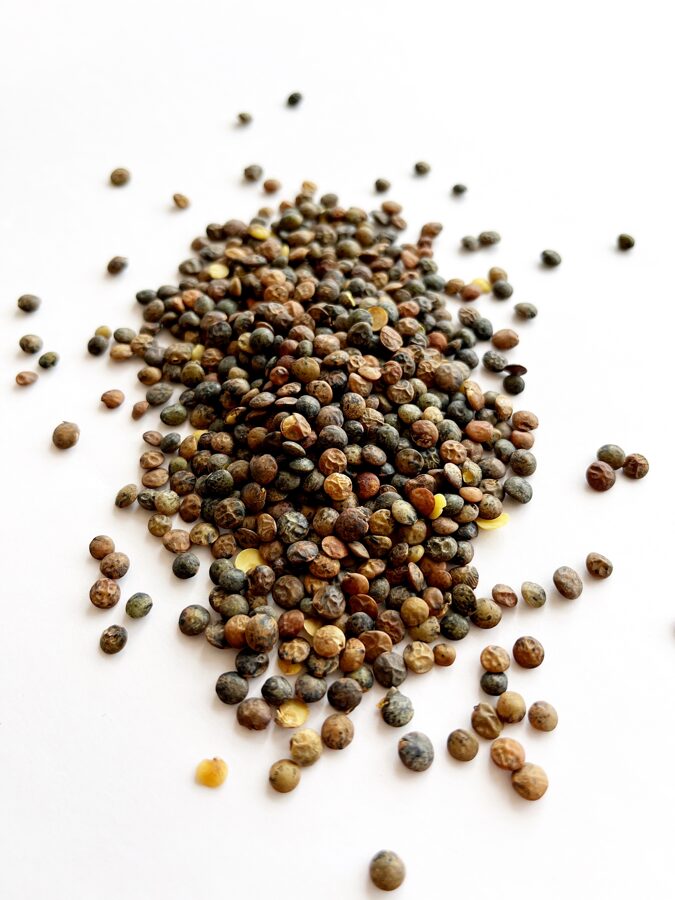 Green lentils 50g