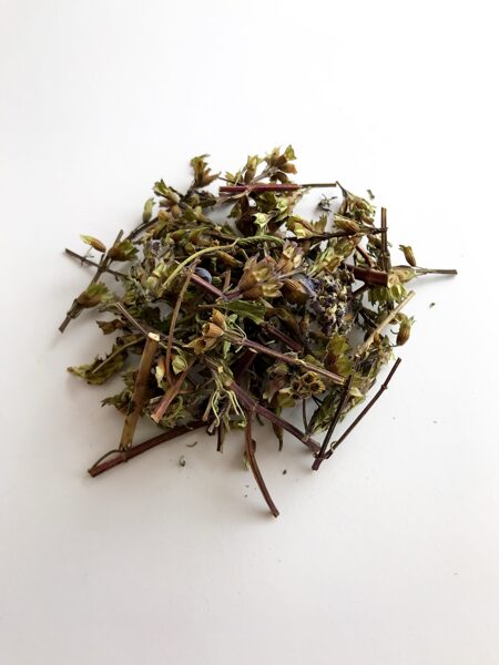 Tea Moldavian dragon's head 30g