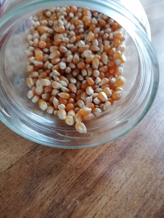 Popcorn - corn kernels 50g