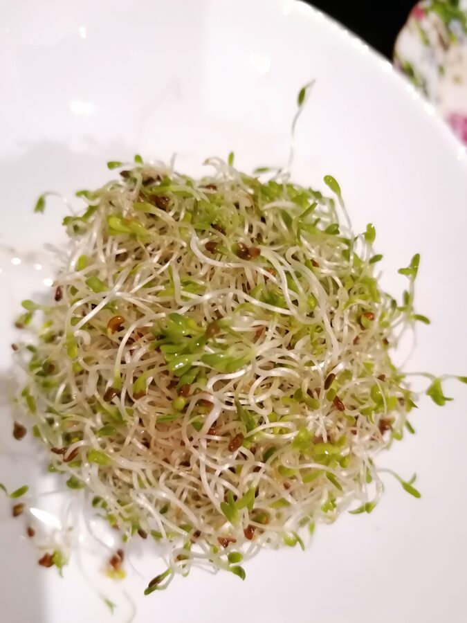 Mikrozaļumi - sēklas diedzēšanai 25g