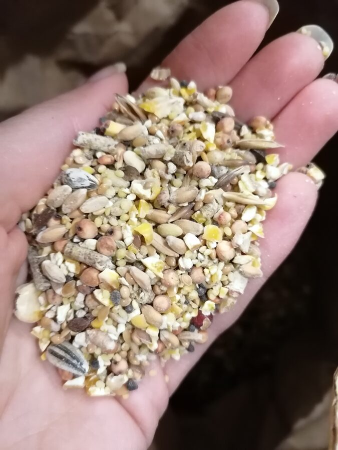 Sēklu maisījums savvaļas putniem 50g