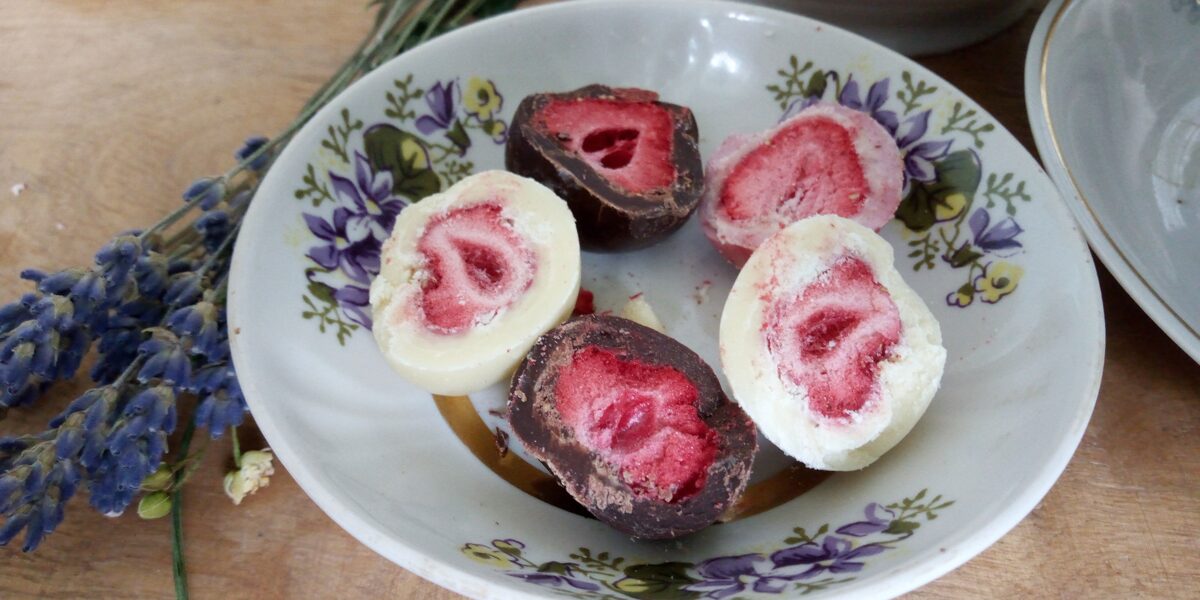 Liofilizētas zemenes jogurta šokolādē 50g