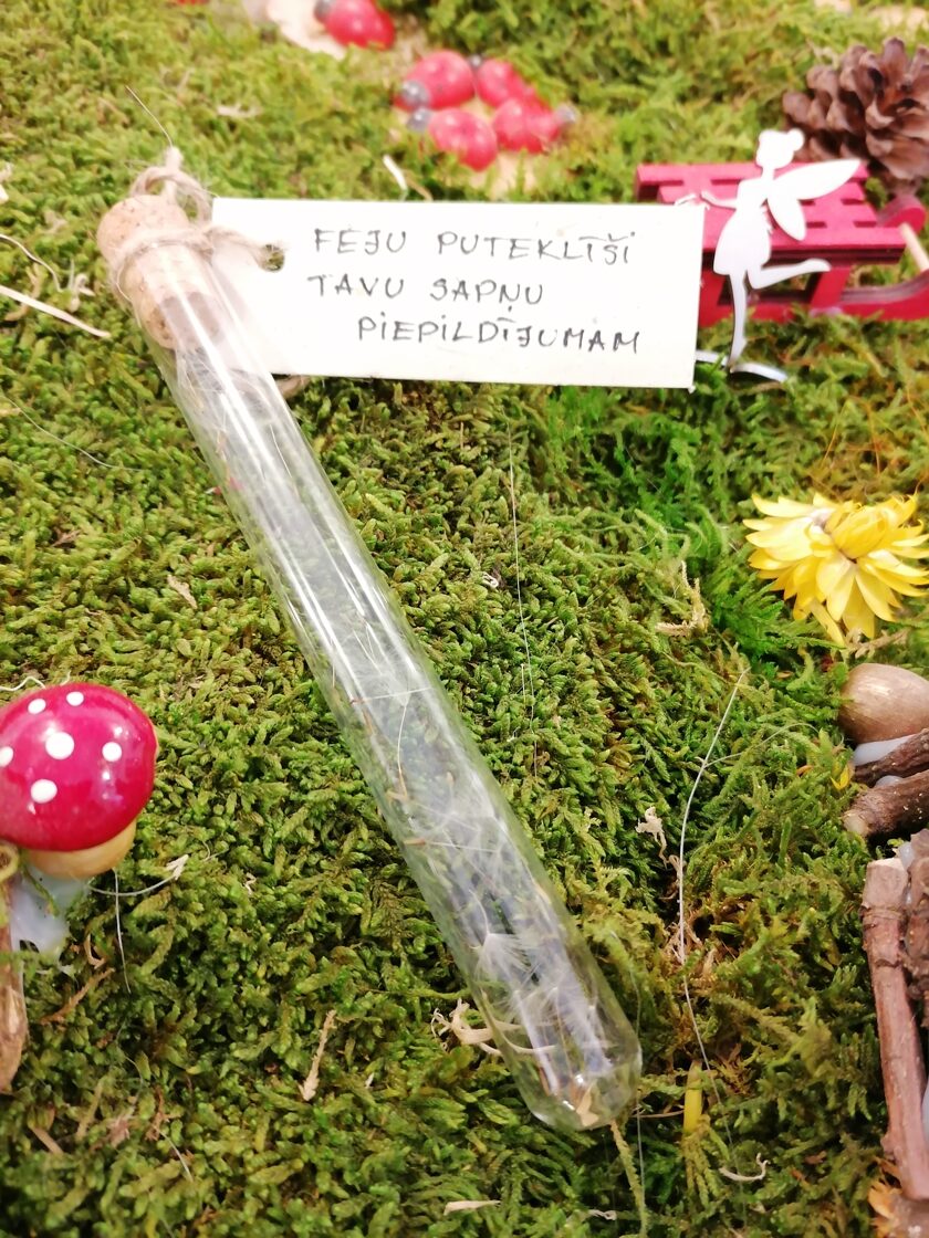 Feju puteklīši Tavu sapņu piepildījumam