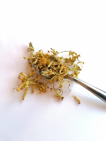 Gailbiksīsu tea, loose, 10g