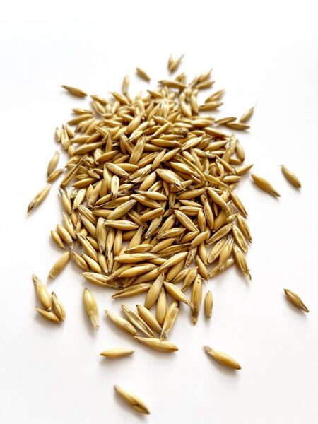 Auzu graudi, bio 100g