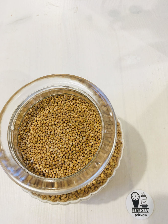 Sinepju graudi sēklas 25g