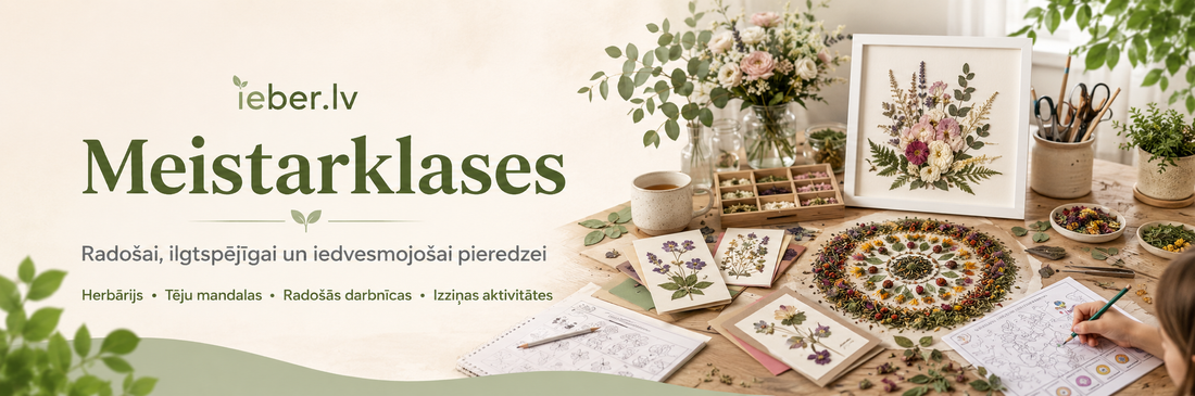 Komandas saliedēšana ar ģimenēm: 5 radošas un veselīgas idejas Jūsu nākamajam korporatīvajam pasākumam
