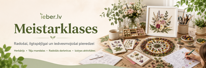 Komandas saliedēšana ar ģimenēm: 5 radošas un veselīgas idejas Jūsu nākamajam korporatīvajam pasākumam