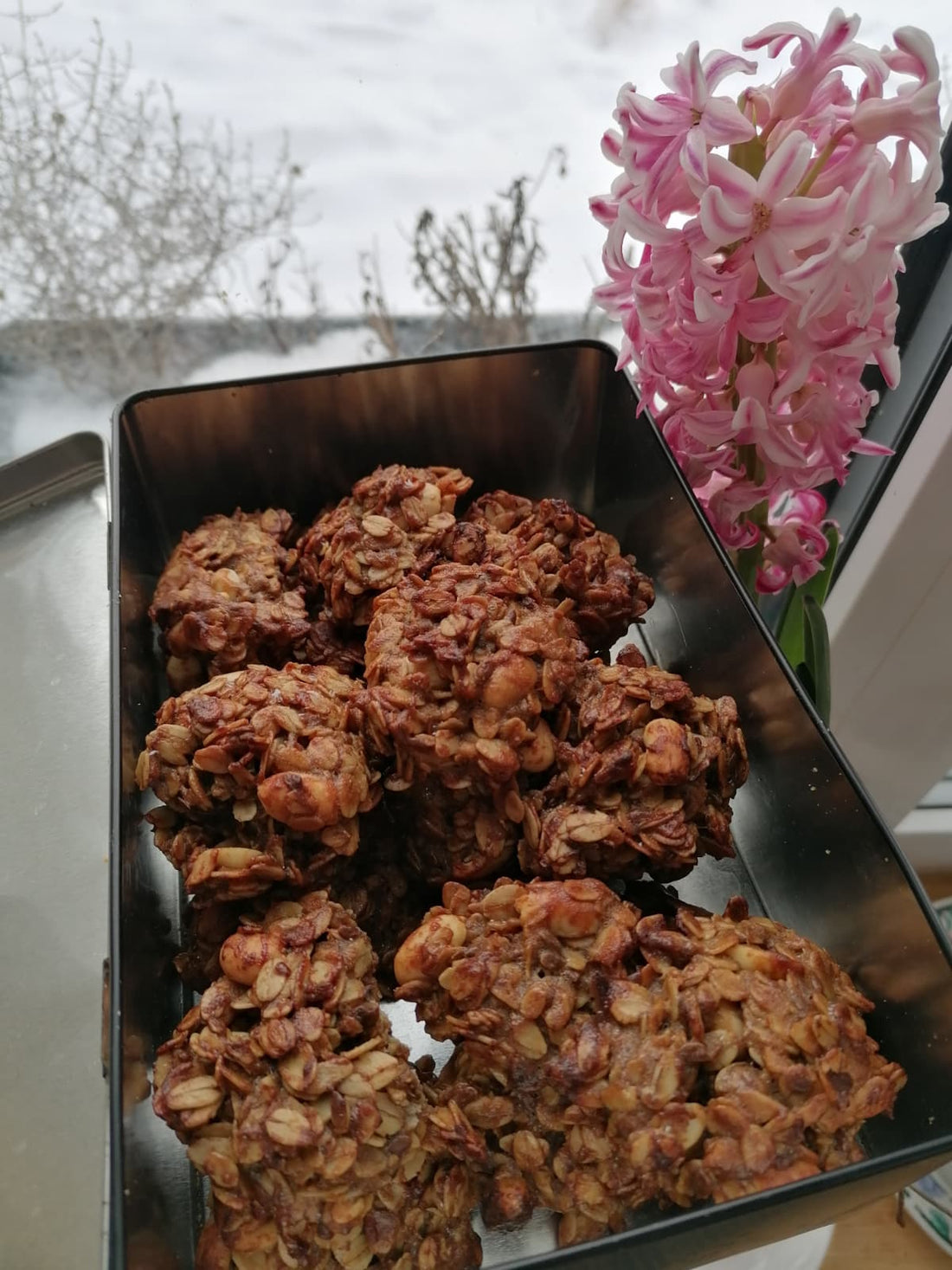 Pilngraudu auzu cepumi – veselīga enerģija mājas un darba uzkodu pauzēm