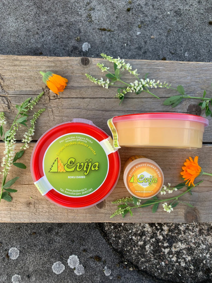 Ziede “Evija” mājas un darba aptieciņā – dabīgs Latvijas mantojums ikdienas veselības uzturēšanai