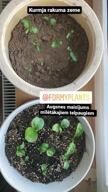 Augsnes maisījums telpaugiem 7L
