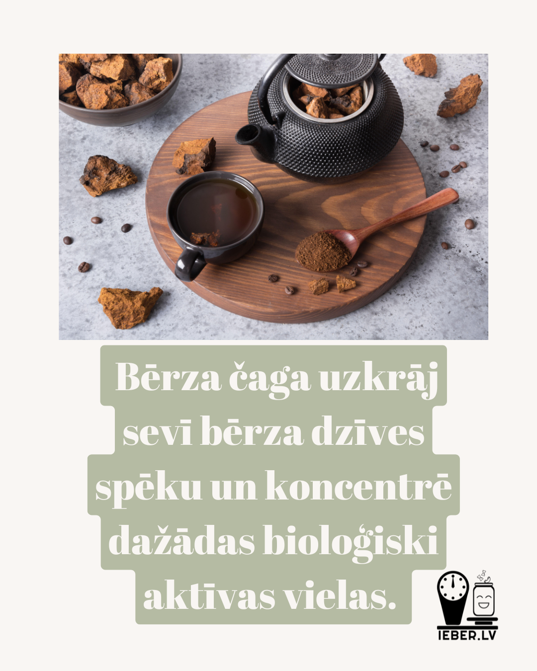 Bērzu čaga 25g