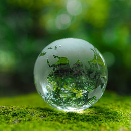 Sustainability Discovery Village - 5 educational activities for children and families