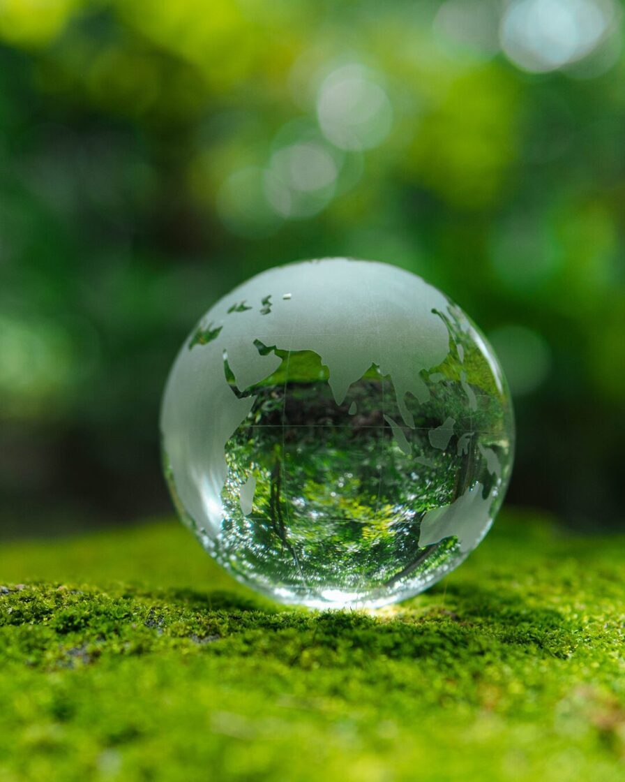 Sustainability Discovery Village - 5 educational activities for children and families