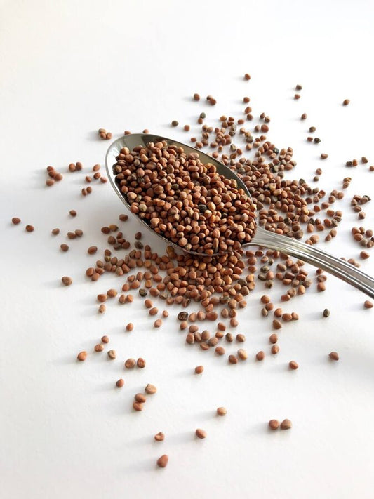 Microgreens - seeds for sprouting 25g