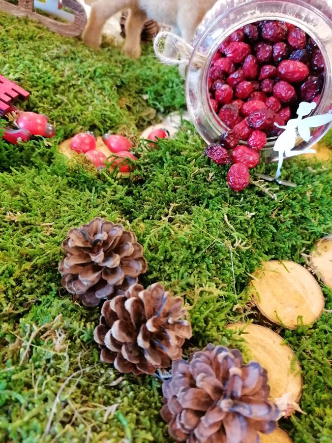 Lielogu dzērveņu sukādes 50g