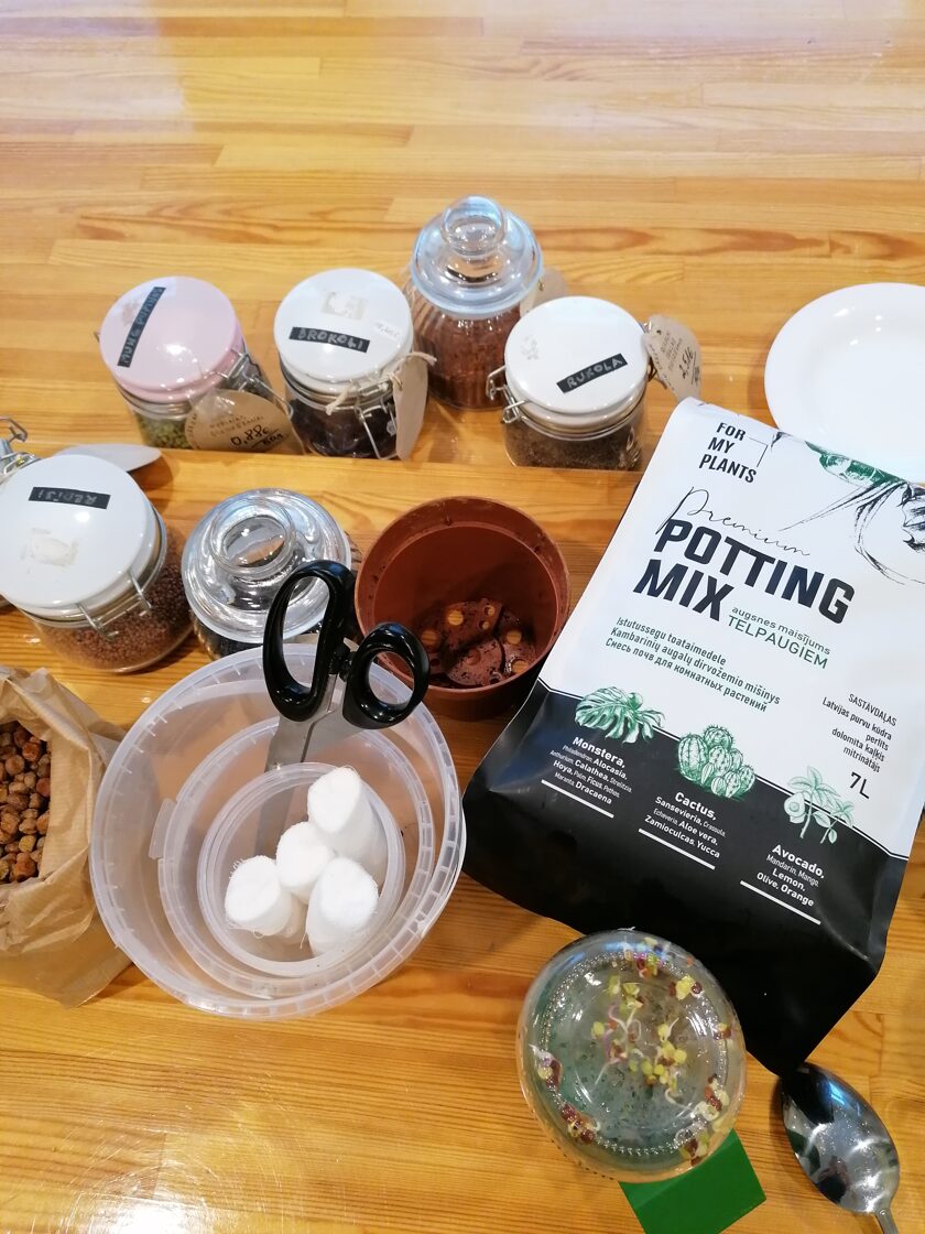 Microgreens sprouting workshop