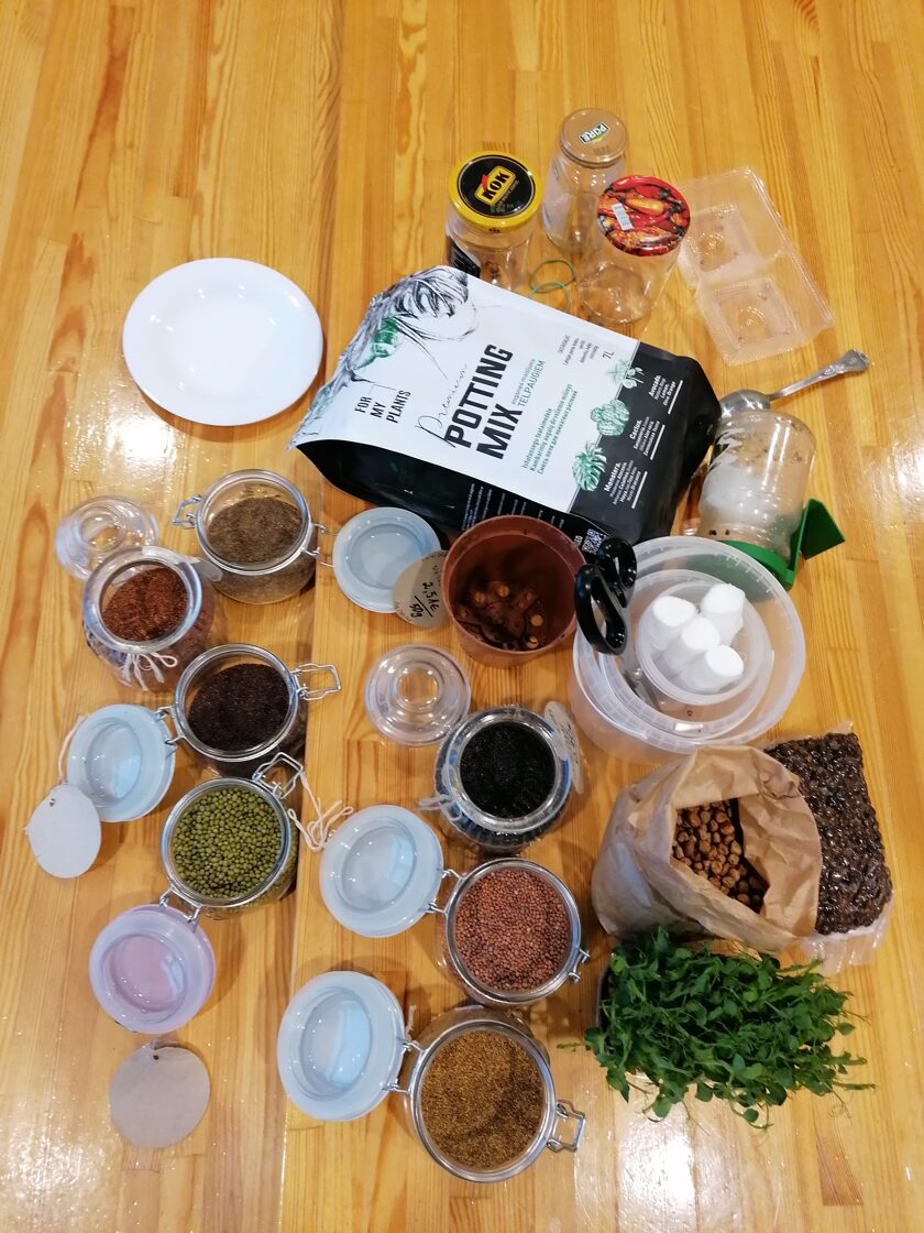 Microgreens sprouting workshop