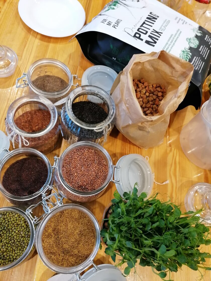 Microgreens sprouting workshop