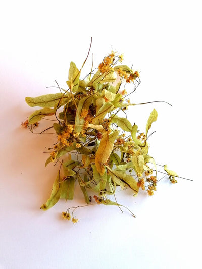 Linden flower tea, loose, 10g