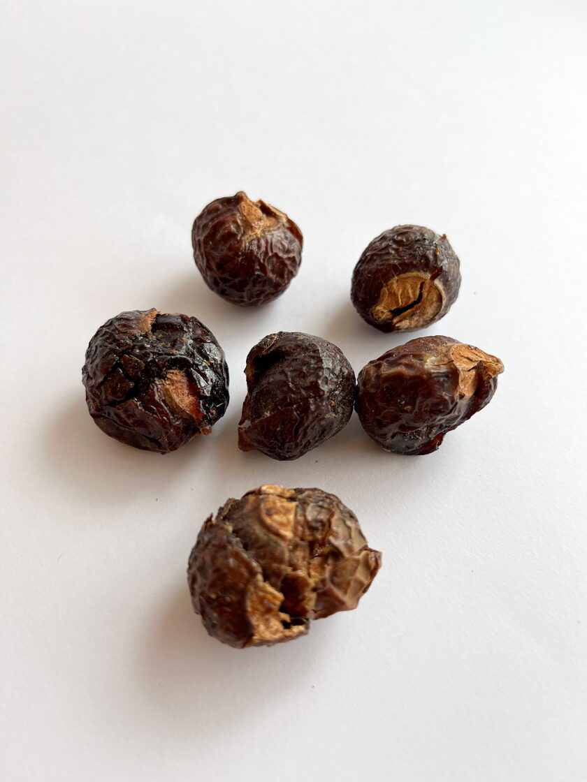 Soap nuts 6pcs
