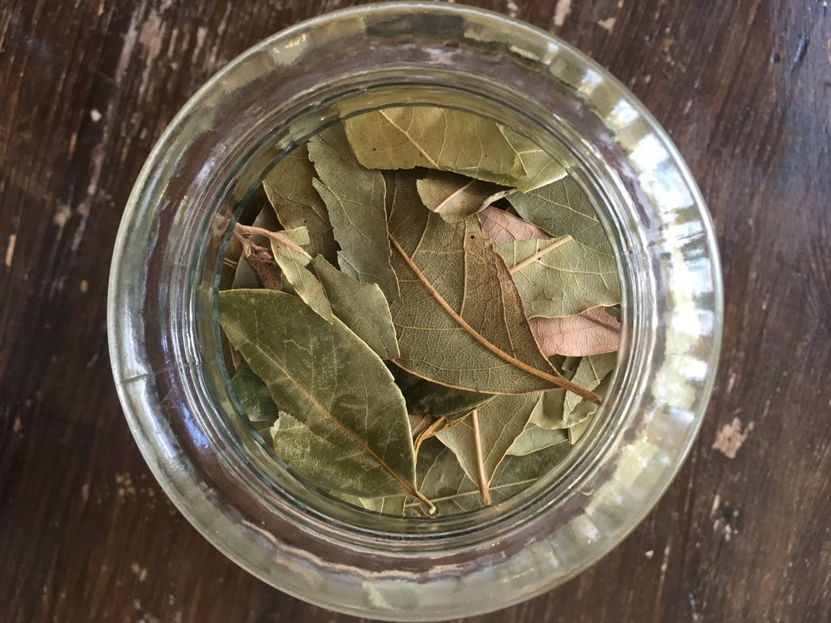 Bay leaf herb 10g