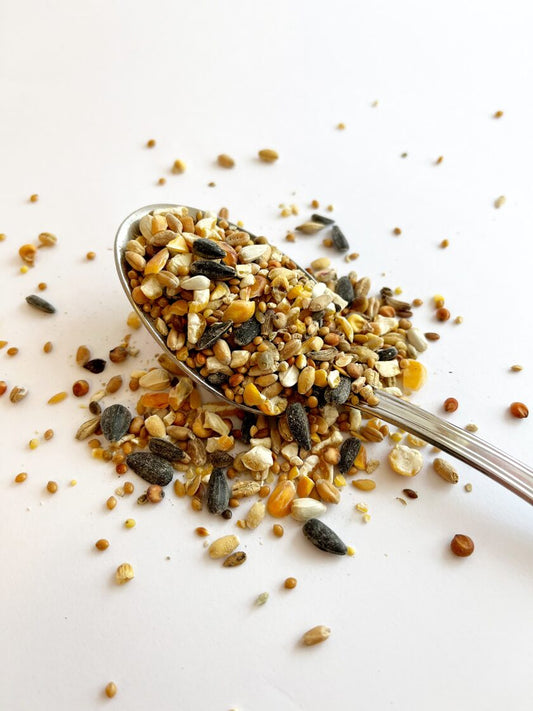 Seed mixture for wild birds 50g