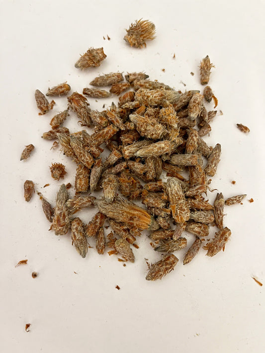 Priežu pumpuru tēja 50g