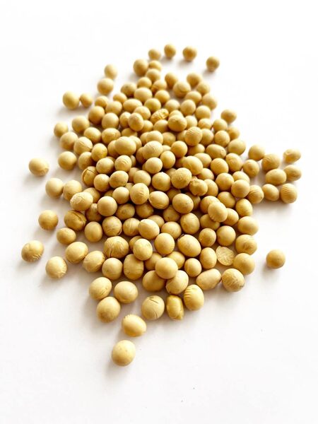 Sojas pupiņas, bio 50g